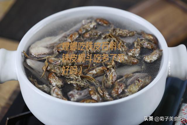 螳螂吃铁皮石斛