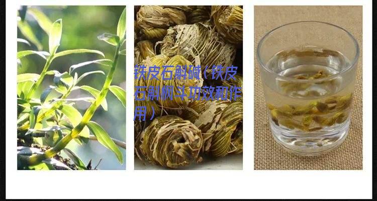 铁皮石斛碱（铁皮石斛枫斗功效和作用）