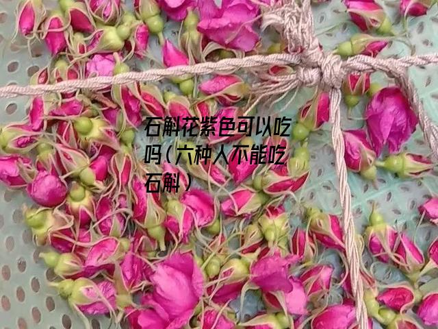 石斛花紫色可以吃吗