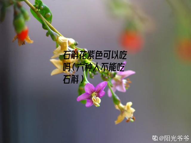 石斛花紫色可以吃吗