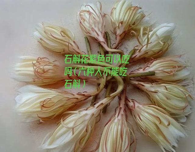 石斛花紫色可以吃吗