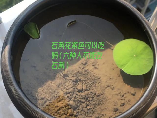 石斛花紫色可以吃吗