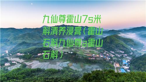 九仙尊霍山7s米斛清养浸膏