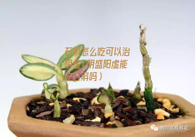 石斛怎么吃可以治阴虚