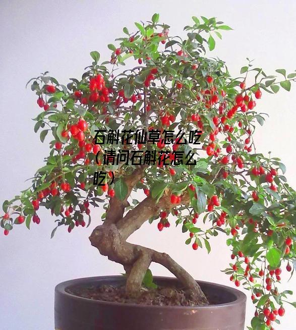 石斛花仙草怎么吃