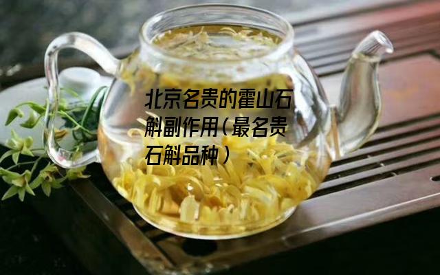 北京名贵的霍山石斛副作用