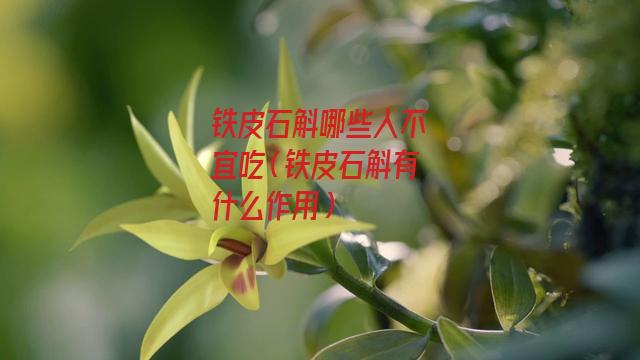 铁皮石斛哪些人不宜吃