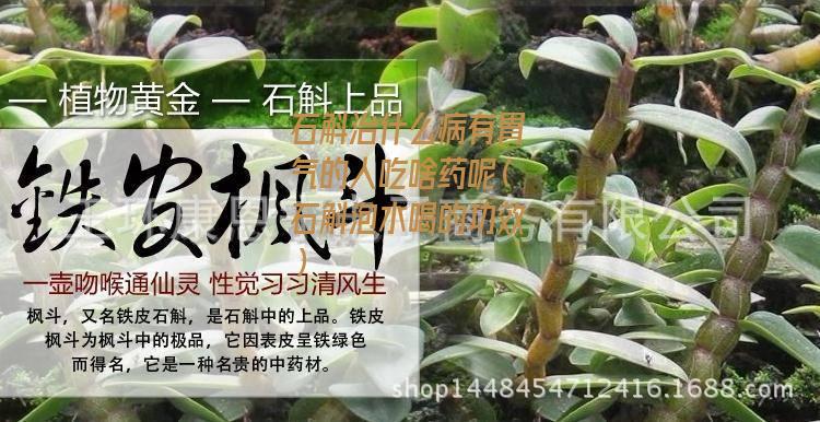 石斛治什么病有胃气的人吃啥药呢（石斛泡水喝的功效）