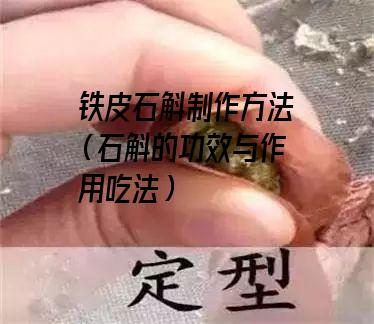 铁皮石斛制作方法