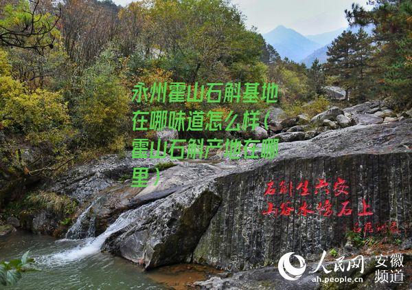 永州霍山石斛基地在哪味道怎么样