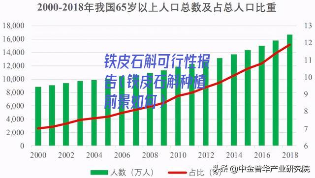 铁皮石斛可行性报告