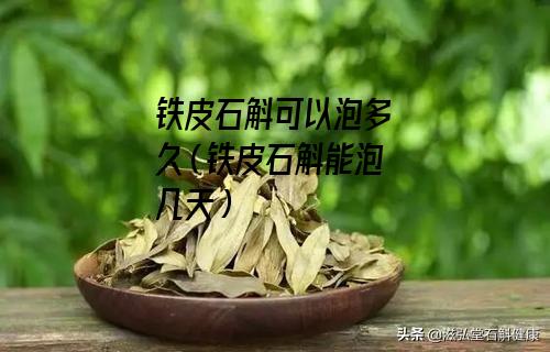 铁皮石斛可以泡多久