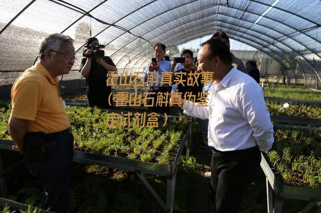 霍山石斛真实故事