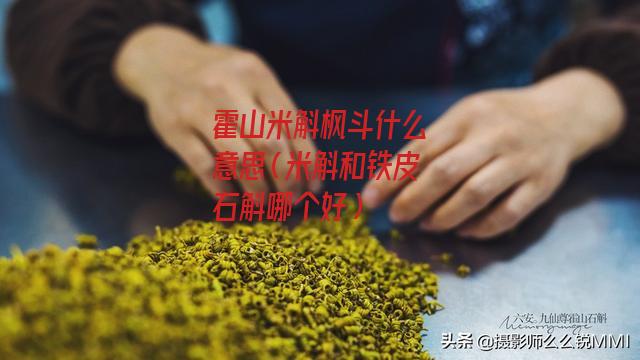 霍山米斛枫斗什么意思