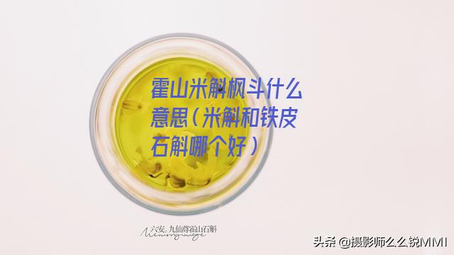 霍山米斛枫斗什么意思