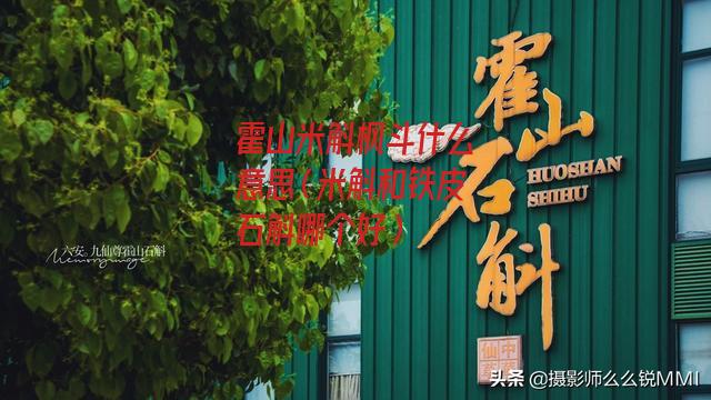 霍山米斛枫斗什么意思