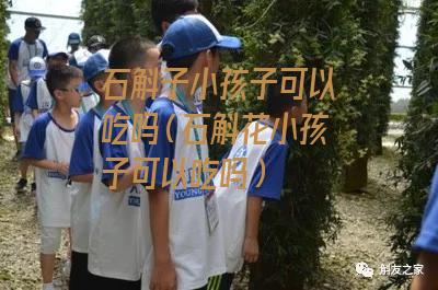 石斛子小孩子可以吃吗