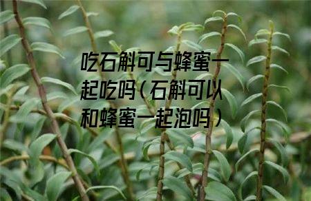 吃石斛可与蜂蜜一起吃吗