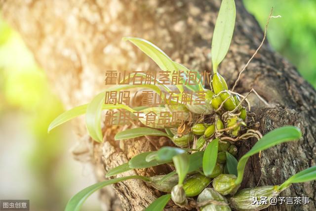 霍山石斛茎能泡水喝吗