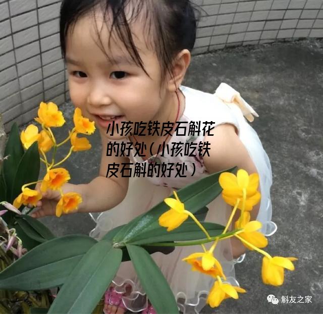 小孩吃铁皮石斛花的好处