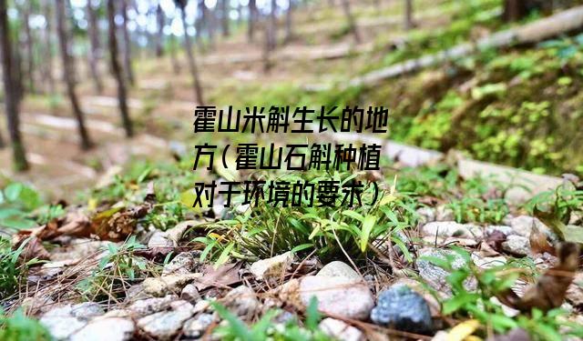 霍山米斛生长的地方