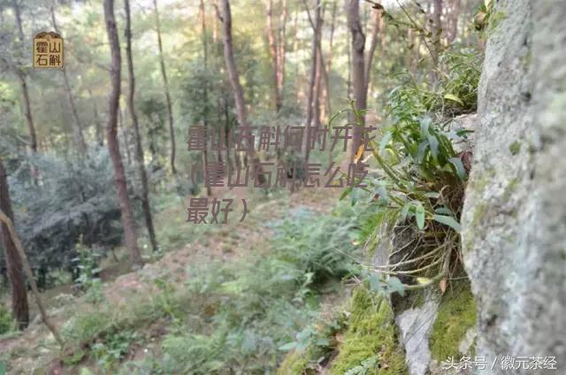 霍山石斛何时开花